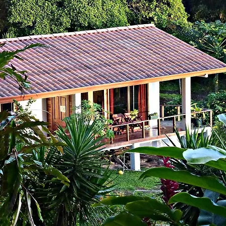 Ceiba Tree Lodge