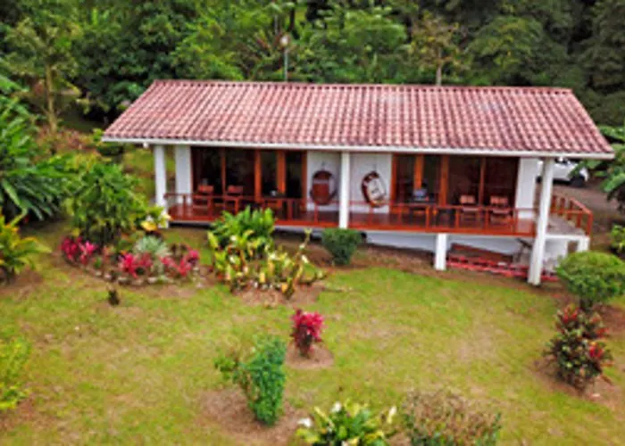 Lodge Ceiba Tree *