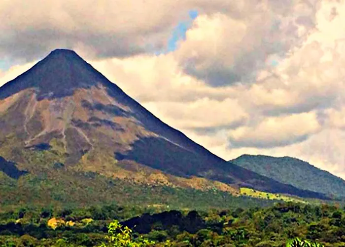 Lodge Ceiba Tree