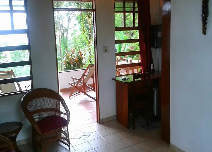 Lodge Ceiba Tree *