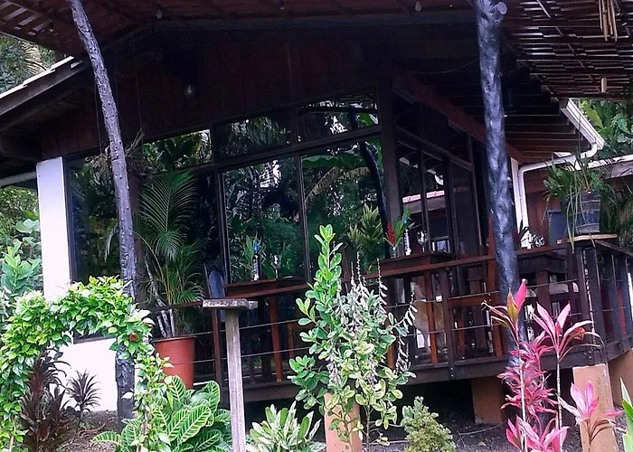 Ceiba Tree