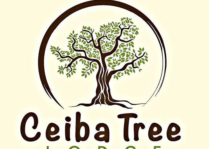 Ceiba Tree