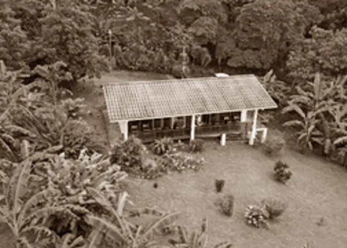 Ceiba Tree Lodge